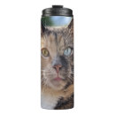 Search for cat photo travel mugs Kitten