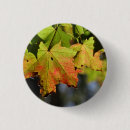 Search for fall colour badges Leaves