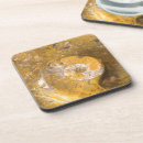 Search for fossil coasters Rocks