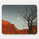 Search for classic rock electronics Moon