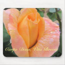 Search for rosebud electronics Petals