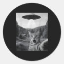 Search for alien cat stickers Sale