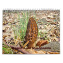 Search for fungus office supplies Nature