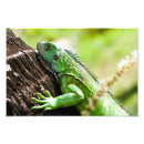 Search for spine art Nature