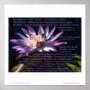 Search for feng shui posters Spirituality