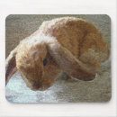 Search for ear mousepads Lop