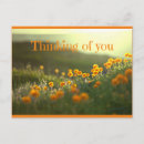 Search for thinking of you postcards Flowers
