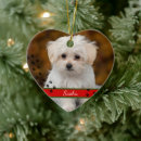 Search for furry animal christmas tree decorations Pet