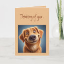 Search for silly faces postcards Cute