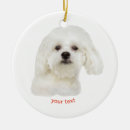Search for maltese christmas tree decorations Dog