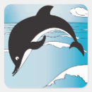 Search for dolphins swimming stickers Under the sea