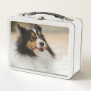 Search for sheltie gifts Shelty