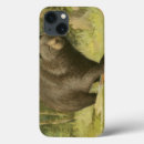 Search for in a tree cases Bear