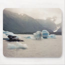 Search for preservation photography Conservation