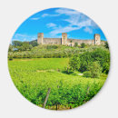 Search for vineyards magnets Fields