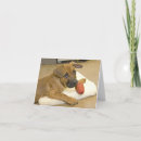 Search for three dogs cards Puppies