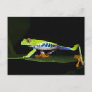 Search for tree red postcards Animal