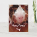 Search for guinea pig cards Adorable