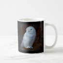 Search for owl picture mugs Nature