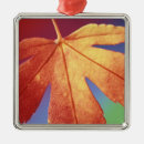 Search for japanese maple christmas tree decorations Usa