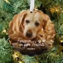 Search for pet memorial christmas tree decorations Forever in our hearts