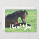 Search for equine thank you cards Equestrian