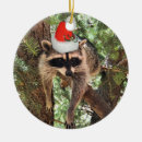 Search for raccoon christmas tree decorations Santa