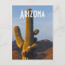 Search for saguaro cactus postcards Photography