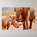 Search for elephant posters Landscape