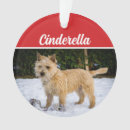 Search for cairn terrier christmas tree decorations Pets