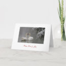 Search for swans christmas cards Water
