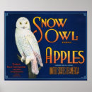 Search for vintage crate labels posters Apples
