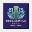Search for turks and caicos magnets Tropical