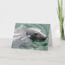 Search for seal birthday cards Funny