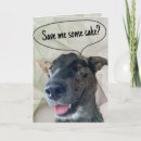 Search for grey dog cards Funny