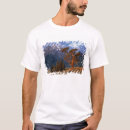 Search for lonely mountain tshirts Landscape