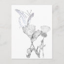 Search for calendula postcards Nature
