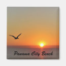 Search for panama magnets Ocean