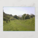 Search for grassy postcards Green