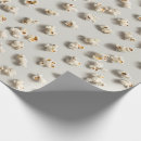 Search for popcorn wrapping paper Fun