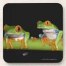 Search for tree frog barware Horizontal