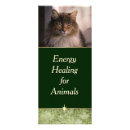 Search for felines rack cards Cat