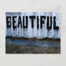 Search for multiple photography Selected