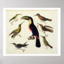 Search for humboldt posters Von
