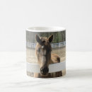 Search for horse hair mugs Mane