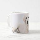 Search for pedigree mugs Purebred