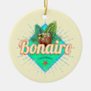 Search for coconut christmas tree decorations Caribbean