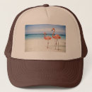 Search for water animal hats Ocean