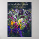Search for pansies posters Floral photography