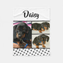 Search for dog blankets Modern